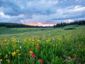 年を重ねるごとに夢は現実味を帯びてくる。思い返す幼稚園の時の夢