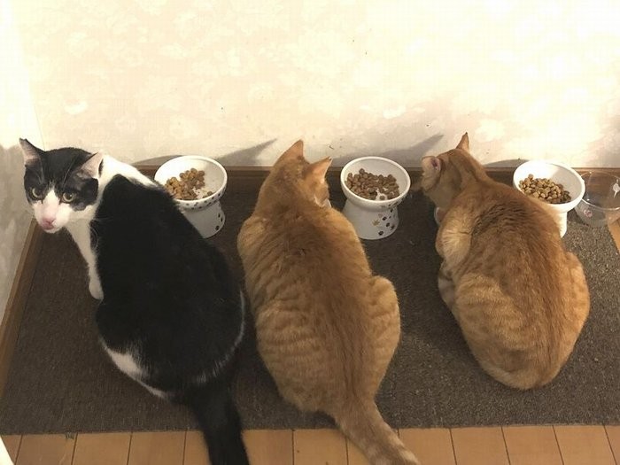 一緒にごはんタイム