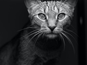 就活と靴のルール。「みんなパンプスだよ」と言われると、やめる勇気はでなかった