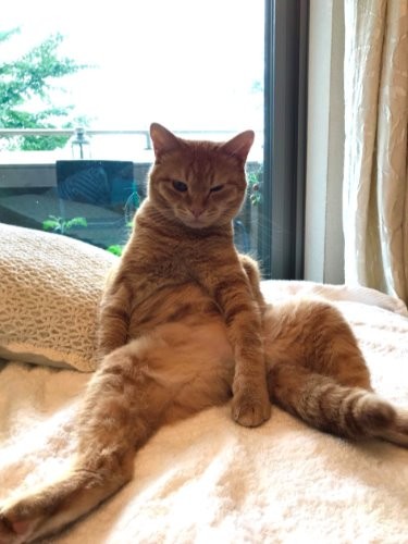 寝起き？　面白い格好をするので家族は笑ってばかり