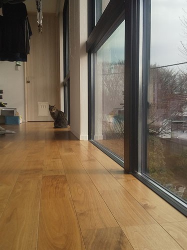 長い廊下の行き止まりが寝室。ドアには猫ドアをつけて、夜だけ（人間が寝る間だけ）解放します。