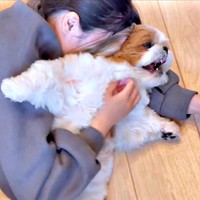 「わあああ！」 ママにもみくちゃにされるぽこちゃん（画像提供：ぽこさん）