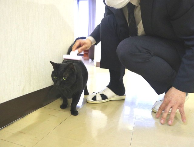 推定年齢15歳のピッピ婆さん