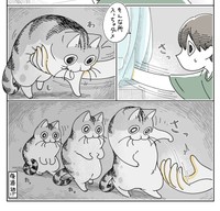 フータくんの手をかわして後退逃げ！（提供：キュルZさん）