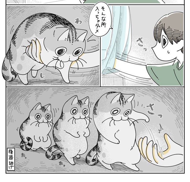 フータくんの手をかわして後退逃げ！（提供：キュルZさん）