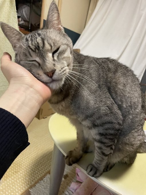 甘え方が愛くるしい