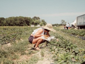 二ートの私が真夏の農作業に耐えられたのは、推しのおかげ