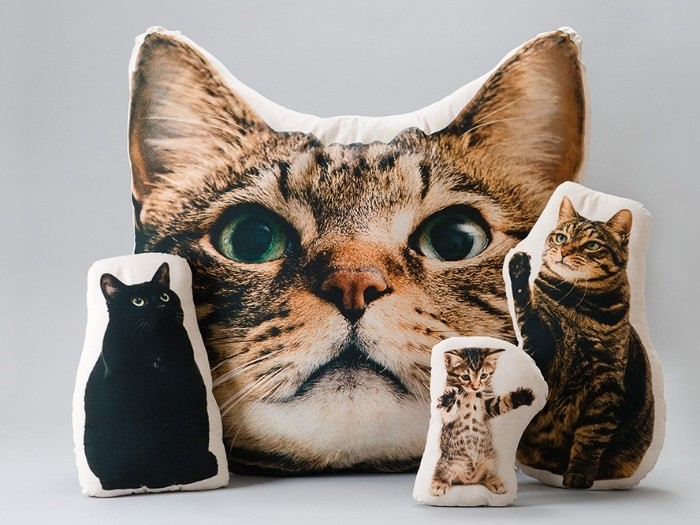 撮影した写真をパネルやクッションにすることもできる