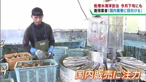 ８月下旬にも処理水海洋放出開始で政府が調整　「国内に目を向ける」宮城県の養殖業者