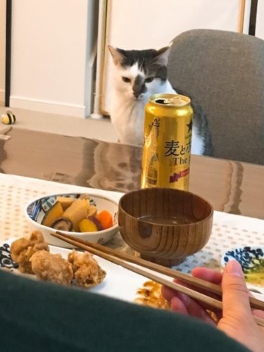 「今日もおつかれさまでした」