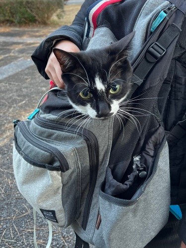 ガロもリュックでお出かけ