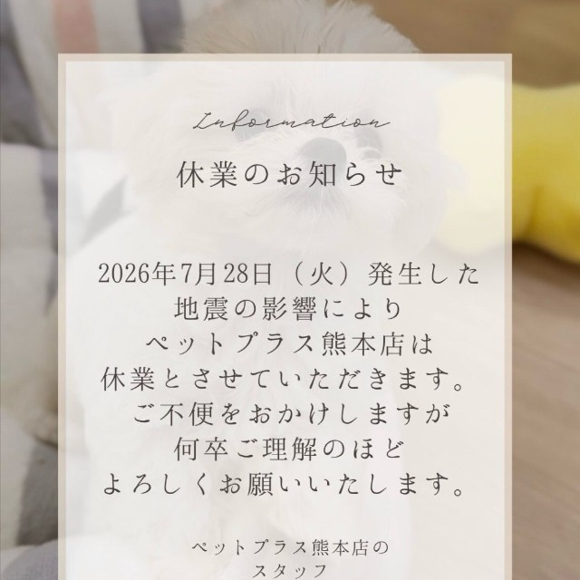 ペットショップ「ペットプラス」の公式インスタグラム（@petplus_official）から