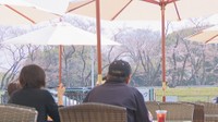 桜を眺めるカフェテラスがオープン　開放的な雰囲気で食事を♪　岡山市