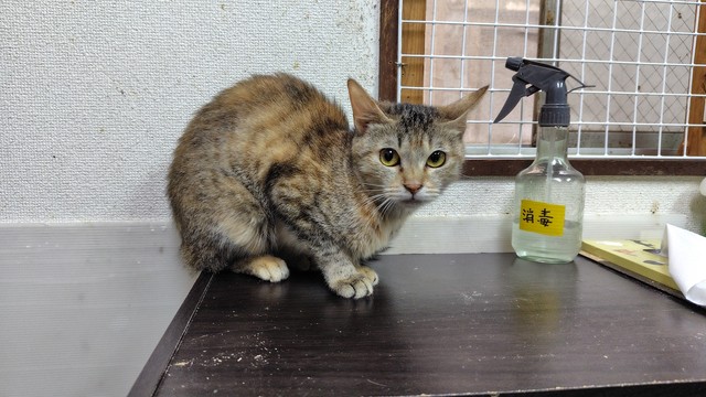 初めての取材で緊張気味？