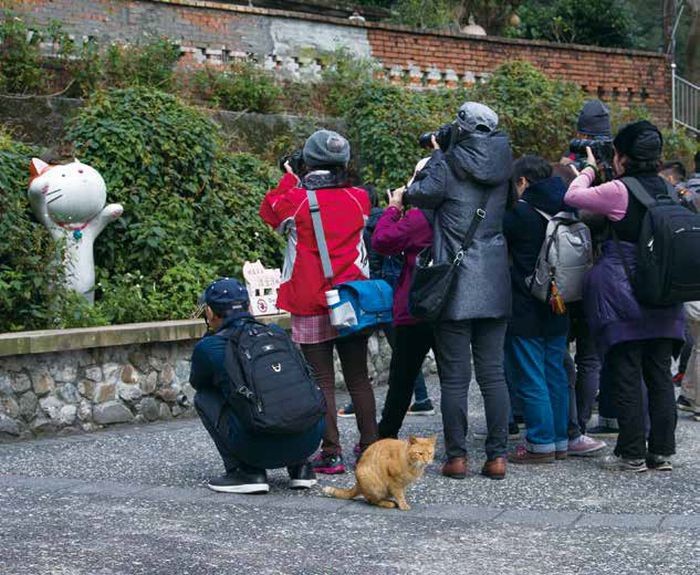 台湾で猫を尻目にオブジェを必死に撮影する人々（沖昌之 / 辰巳出版）