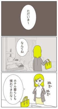 『夫の不倫の証拠が見つからない』-27