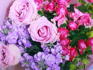 絶対にピンクがよかったランドセル。祖父母から贈られた紫は宿命の色