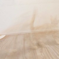 心がきれいな人には見える！？ ミクくん探しが話題に（画像提供：ぷくりさん）