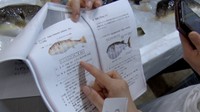 奥深すぎる毒魚フグ