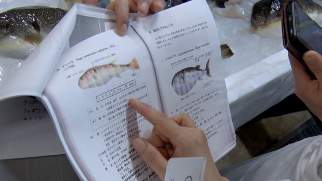 奥深すぎる毒魚フグ