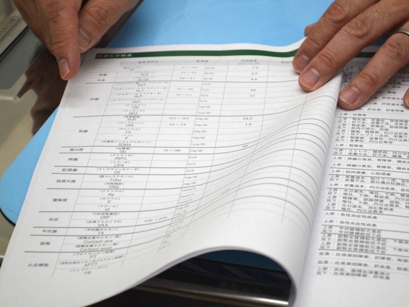 レイちゃんの検査結果。若く元気なうちに、体の状態を数値で把握しておけば、変化に気づきやすくなるメリットが