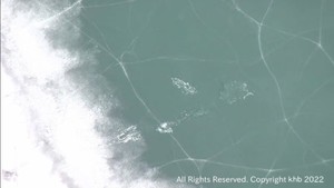 宮城・蔵王の御釜に転落した山形市の男性が死亡　凍った湖面でスキーか