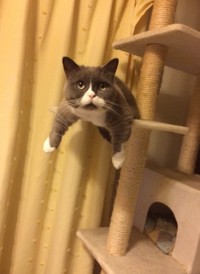 定番だったユニークなポーズ