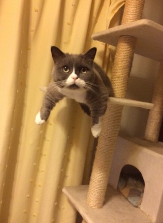 定番だったユニークなポーズ