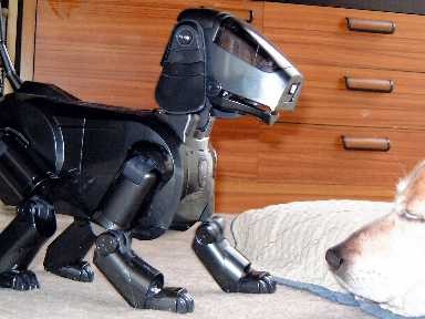 ＡＩＢＯ「家族」だから治療・供養　入院は４００体待ち