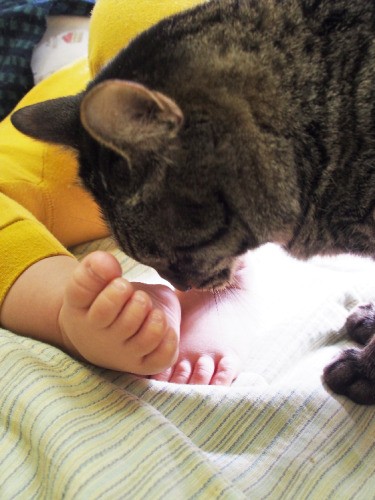 赤ちゃんの足の匂いをそっと嗅ぐイチ