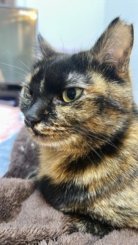 顔つきも、すっかり大人のレディに！