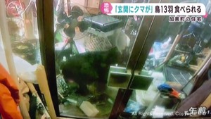 住宅の敷地に連日クマが侵入　ニワトリなど１３羽が被害　宮城・加美町