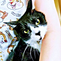 15年前、公園でパパの肩に乗ったこてつくん（画像提供：お母ちゃん こてつ ぜんさん）