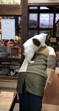 上手に背中にのります（画像提供：こもぎぎさん、動画よりキャプチャ）