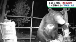 宮城県でもクマの出没相次ぐ　クマが嫌う忌避剤の売り上げ増