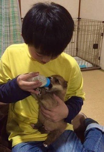 息子さんも、もちろん育犬に参加