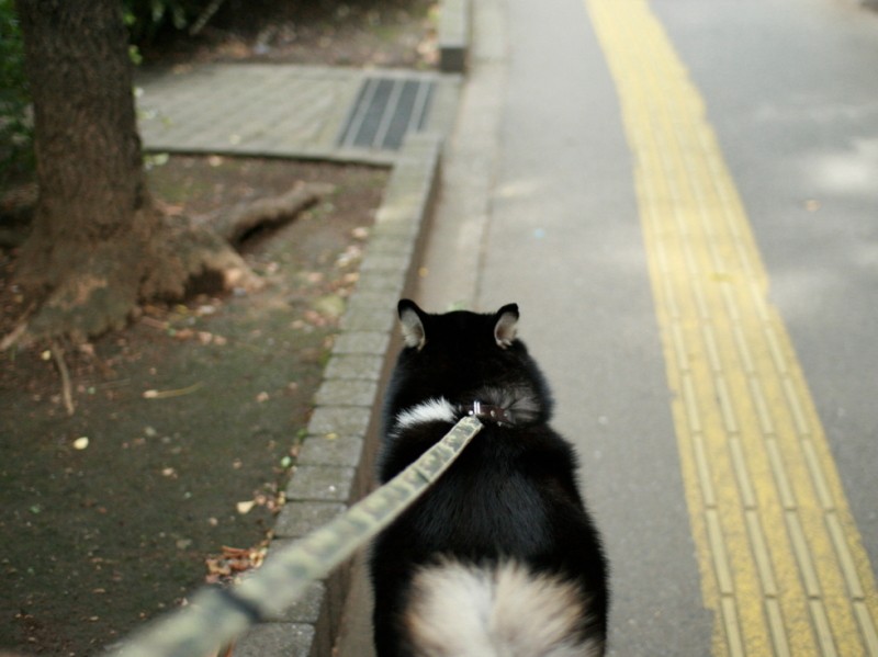 当時毎日見ていた光景