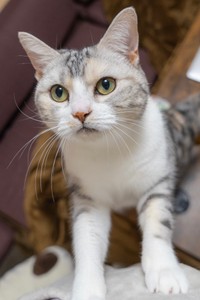 元気いっぱいのさくらちゃん