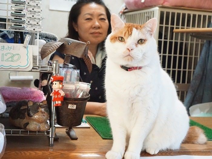 ３時半だ、そろそろお客さんがくるね