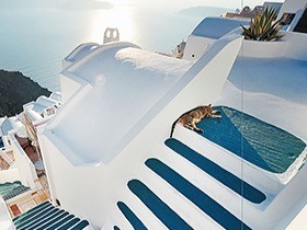 パリ、ローマ…世界の街角で出会う猫　旅のように楽しめる写真集