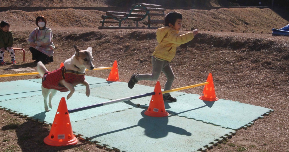 子どものコミュニケーションの扉を開く動物たち 自然の中にある