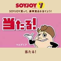 水瀬いのりが演じたマカグミア