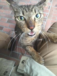 初対面から何か訴えるように甘えてきました