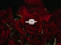 「結婚したくない」その本意は「私はきっと結婚できるから」だった