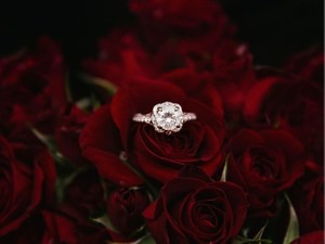 「結婚したくない」その本意は「私はきっと結婚できるから」だった