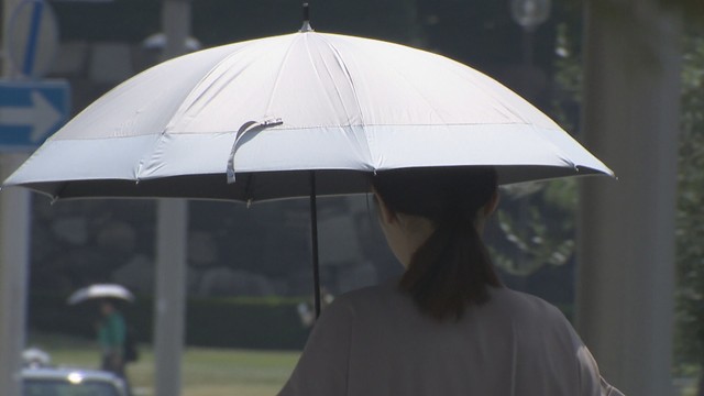 高松市浜ノ町　17日午前11時ごろ