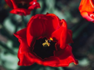 おじさまが「なんか悪そう」と説教する幼馴染に、私は甘えて任せきり