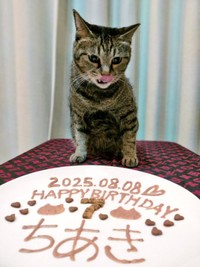 推定7歳の誕生日を迎えたちあきさん（画像提供：青い人さん）