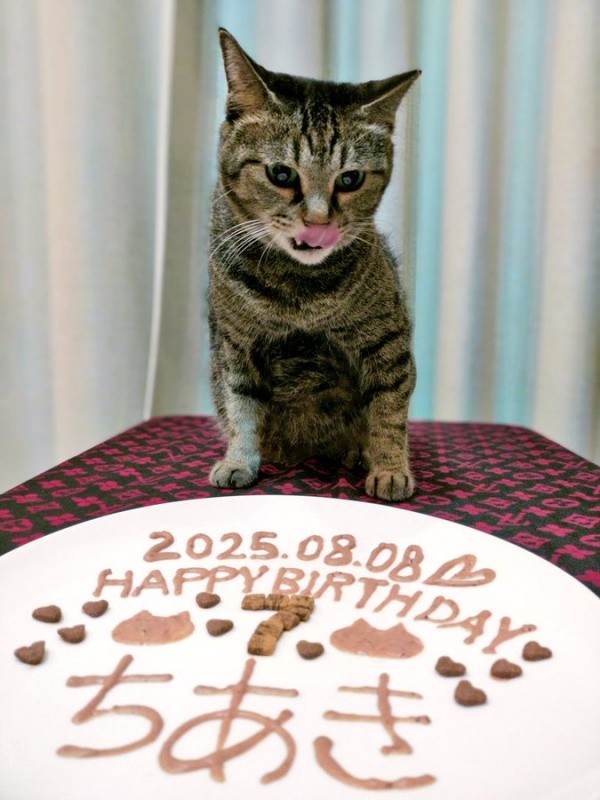 推定7歳の誕生日を迎えたちあきさん（画像提供：青い人さん）