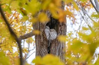 秋の気配の中、寄り添うカップル（画像提供：yupi_hokkaidoさん）